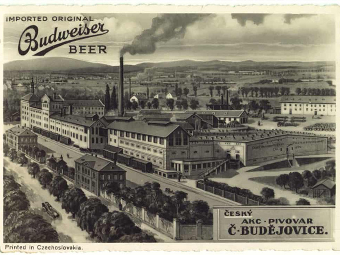 The Budvar Pour The Czech pour Czech lager Pour Budweiser Budvar